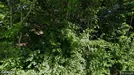 Bostadsrätt till salu, Båstad, &lt;span class=&quot;blurred street&quot; onclick=&quot;ProcessAdRequest(5186900)&quot;&gt;&lt;span class=&quot;hint&quot;&gt;Se gatunamn&lt;/span&gt;[xxxxxxxxxx]&lt;/span&gt;