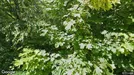 Lägenhet att hyra, Söderort, &lt;span class=&quot;blurred street&quot; onclick=&quot;ProcessAdRequest(5362882)&quot;&gt;&lt;span class=&quot;hint&quot;&gt;Se gatunamn&lt;/span&gt;[xxxxxxxxxx]&lt;/span&gt;