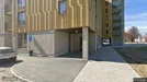 Lägenhet att hyra, Skellefteå, Tjärhovsgatan