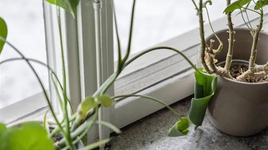 Bostadsrätter till salu i Kungsholmen - foto 10