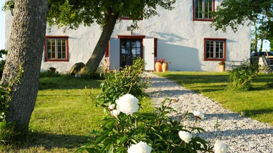 Fritidshus till salu i Gotland - foto 13