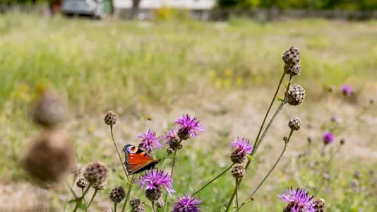 Tomter till salu i Gotland - foto 6