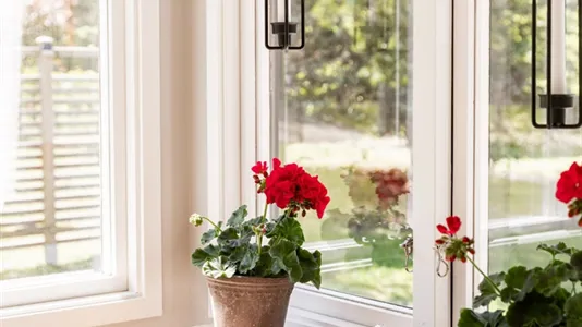 Fritidshus till salu i Gotland - foto 7