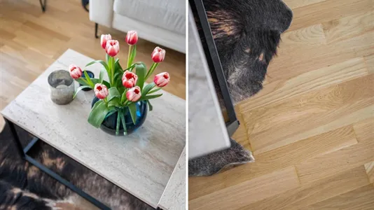 Bostadsrätter till salu i Söderort - foto 3