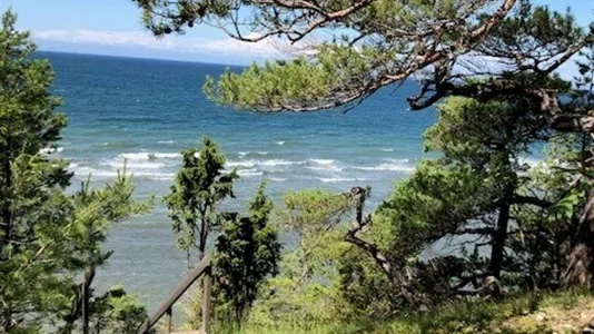 Tomter till salu i Gotland - foto 11