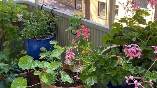 Bostadsrätter till salu i Kungsholmen - foto 10