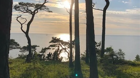 Tomter till salu i Gotland - foto 12