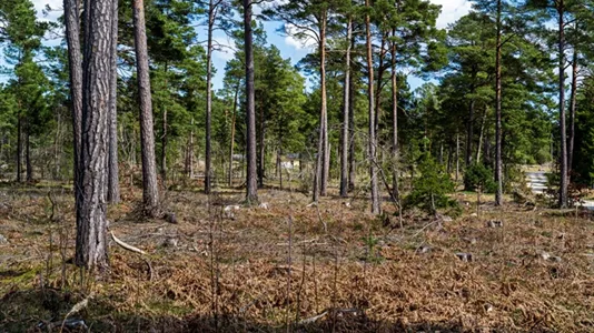 Tomter till salu i Gotland - foto 11