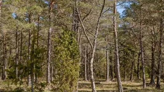 Tomter till salu i Gotland - foto 7