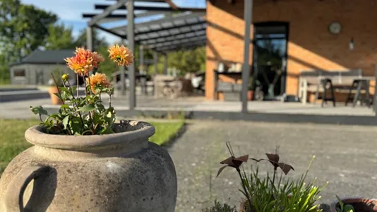 Fritidshus till salu i Gotland - foto 5