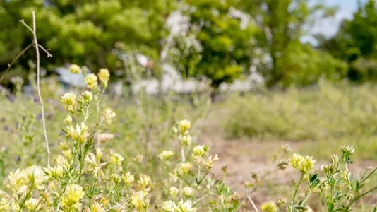 Tomter till salu i Gotland - foto 5