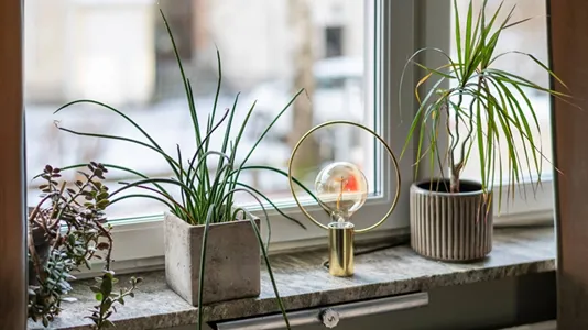 Bostadsrätter till salu i Söderort - foto 12