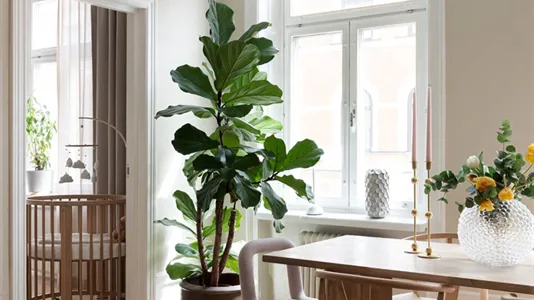 Lägenheter till salu i Område ej specificerat - foto 3