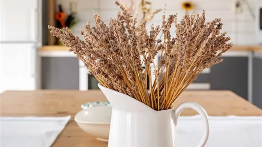 Fritidshus till salu i Gotland - foto 10