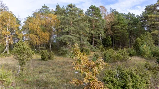 Tomter till salu i Gotland - foto 7