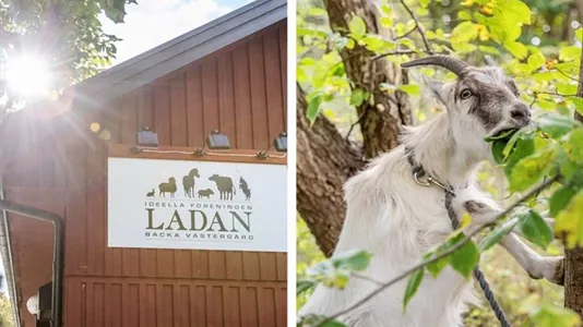 Lägenheter till salu i Norra hisingen - foto 10