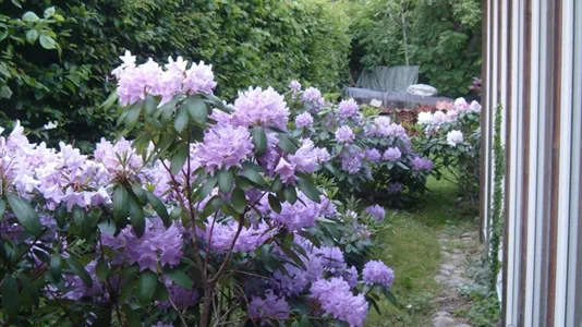 Lägenheter i Mölndal - foto 2