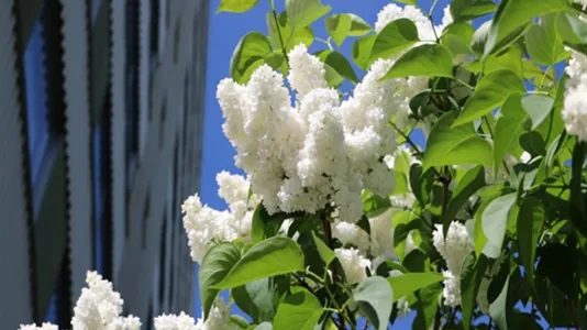 Rum i Göteborg Centrum - foto 10