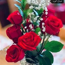 Moonaltawil söker lägenhet, radhus eller rum att hyra i Linköping